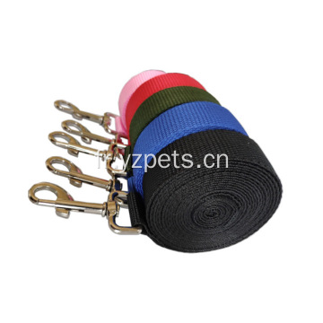 Laisse de chien de dressage de marche en nylon durable